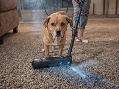 Pet odor elimination treatment